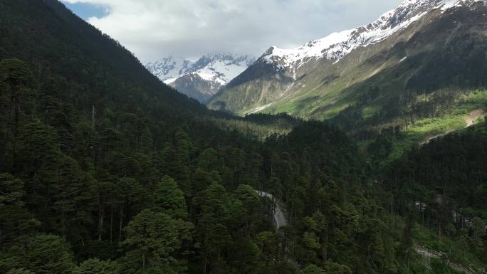 西藏 墨脱 雨淋 热带雨林 雪山