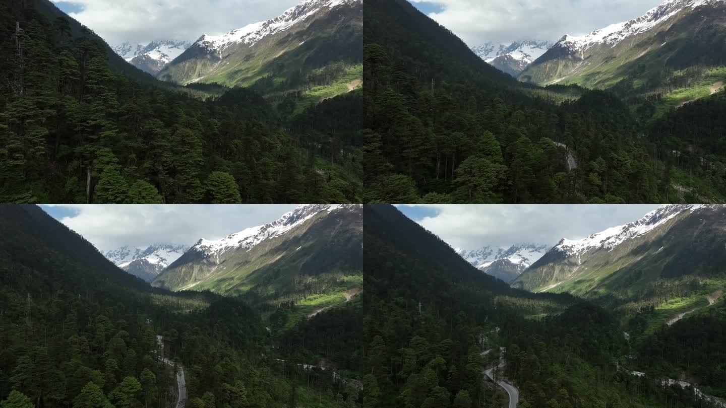 西藏 墨脱 雨淋 热带雨林 雪山