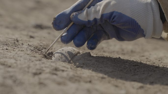 考古挖掘现场 精细筛除杂物 特写文物