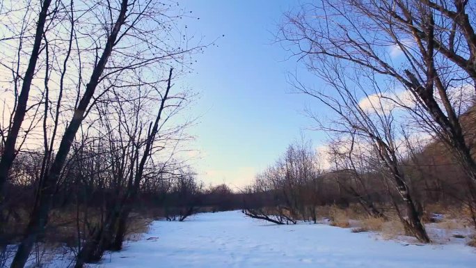 山山水水 雪地树林 永固陵