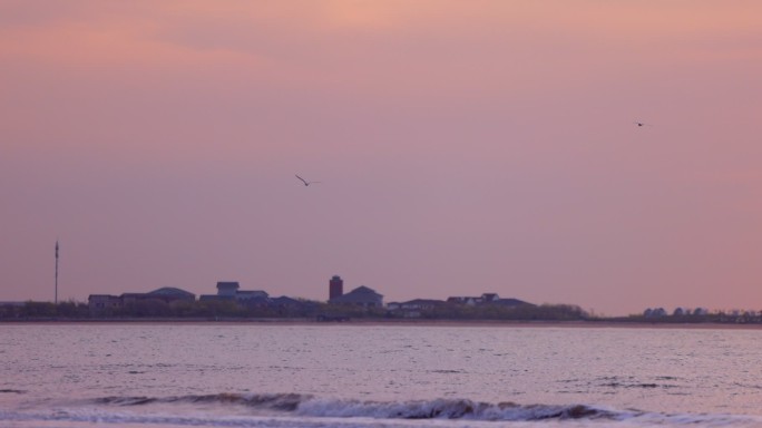 日落海滩飞行的海鸥