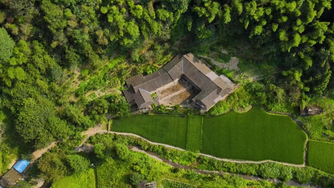 山林 小屋