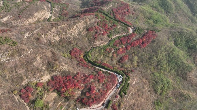 济南章丘垛庄大寨山红叶