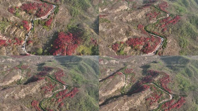 济南章丘垛庄大寨山红叶