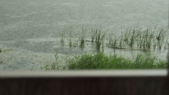 雨天河流