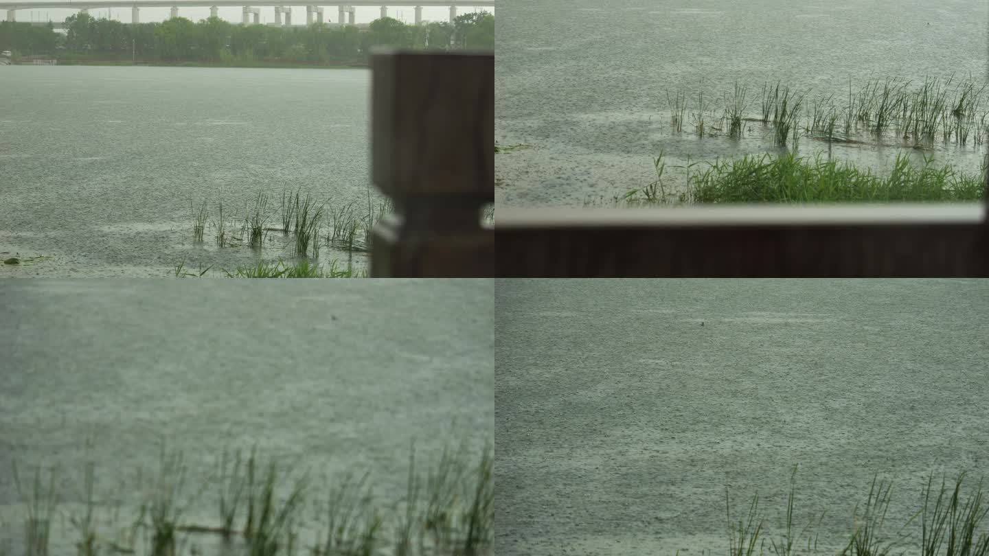 雨天河流