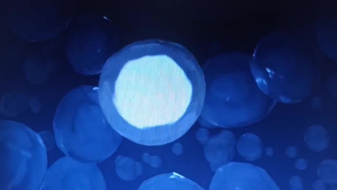 max动画场景演示细胞分裂过程