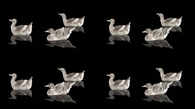 野鸭游泳动画 透明通道  国画风格