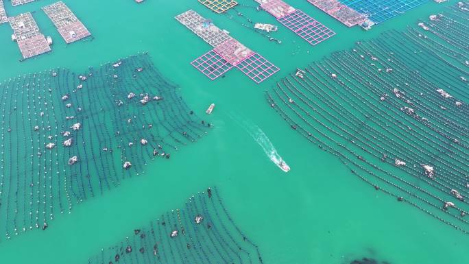 福州连江的水上渔排