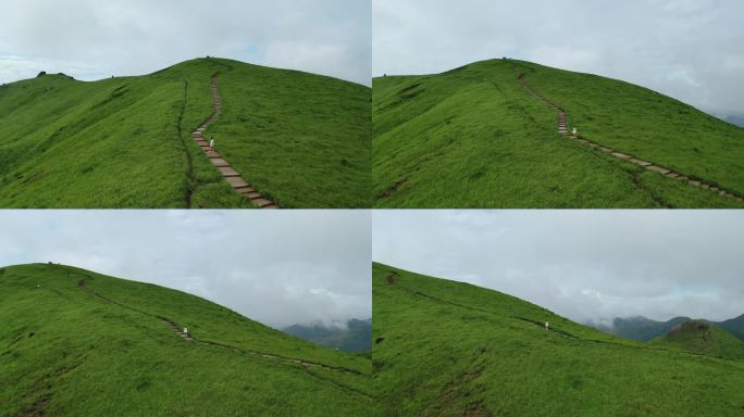 宁德鸳鸯草场山路爬山牧区云雾山间小路航拍