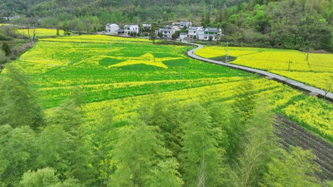 红色柯村