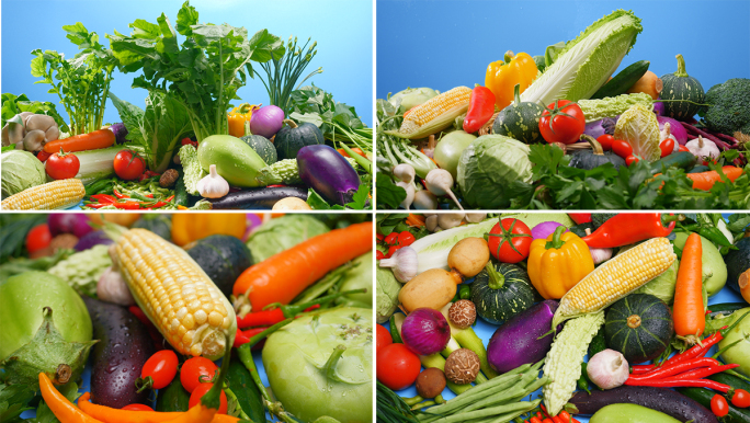 几十种蔬菜青菜新鲜食材五颜六色果蔬