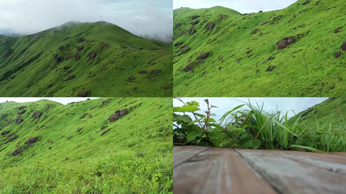 宁德鸳鸯草场山路爬山牧区云雾山间小路航拍