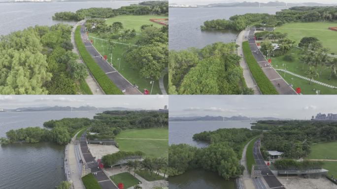 【正版原创】深圳湾公园跑步