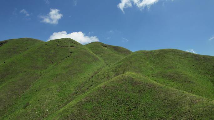 福建宁德鸳鸯草场蓝天白云山峦牧区航拍空镜