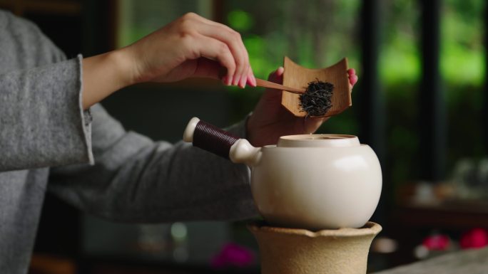 茶艺师往茶壶里放茶叶茶艺冲泡煮茶