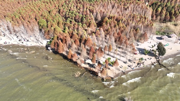 4K昆明捞鱼河湿地公园滇池树林航拍