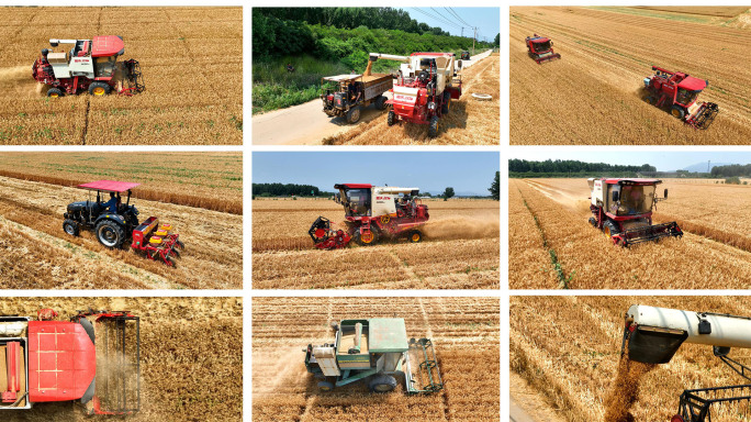 收割机收割小麦 玉米播种 麦茬粉碎 4K