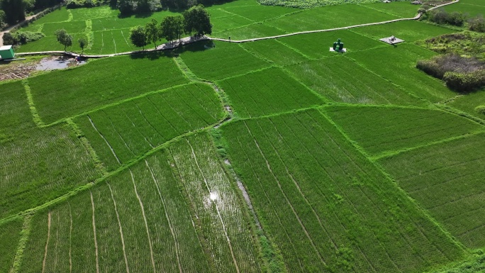 航拍中国大型粮食种植地大片农田