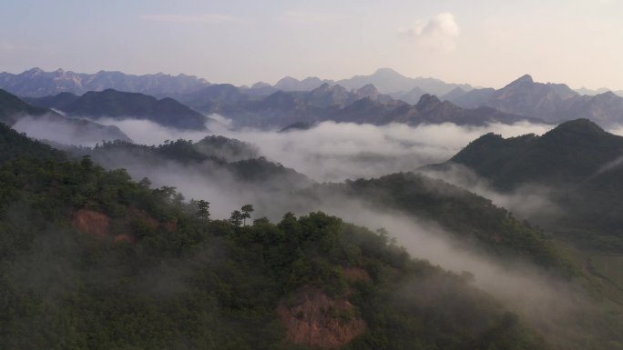 云海山川森林大山风景云海云雾山水