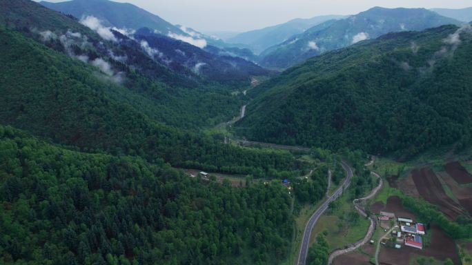 航拍海东市乐都区仓家峡林场