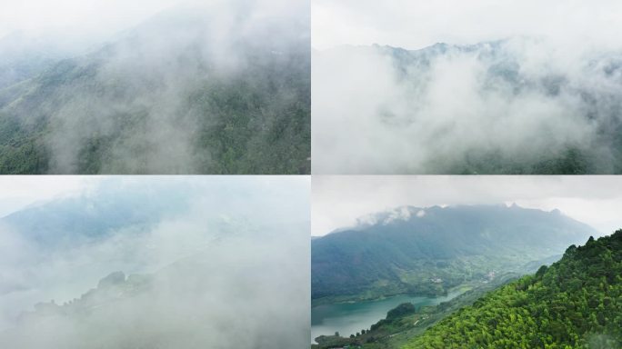4K航拍穿越云雾森林