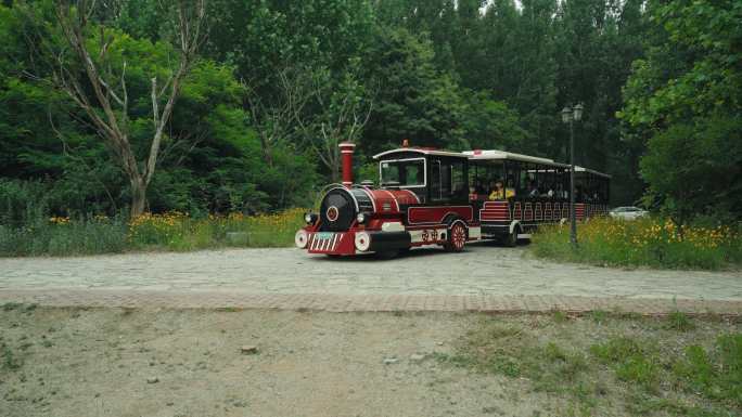 公园摆渡车小火车