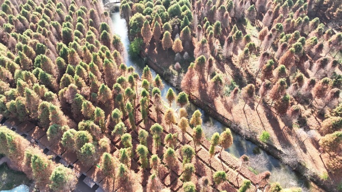 4K昆明捞鱼河湿地公园滇池树林航拍