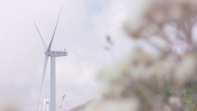 风机风电风力水电海上新能源 风能延时4K