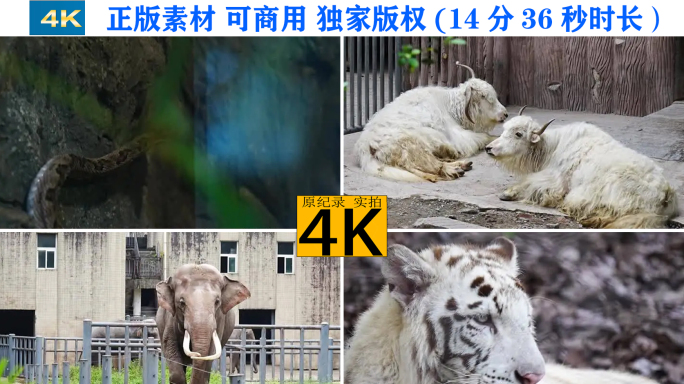 重庆杨家坪动物园