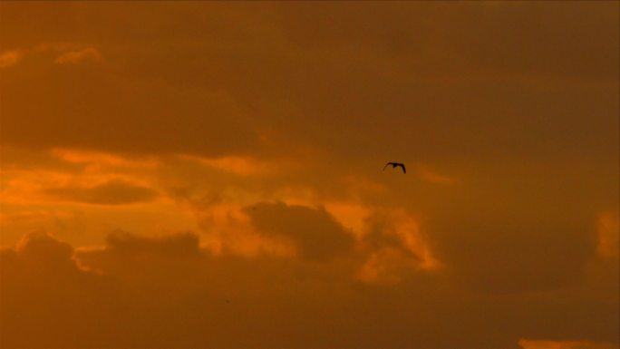 唯美夕阳湖面晚霞