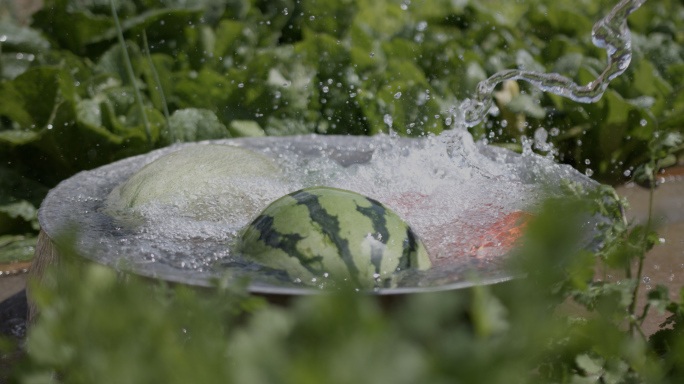 农村写意夏天酷暑 炎热天气 农民吃西瓜