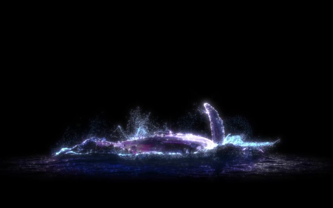 粒子鲸鱼视频素材