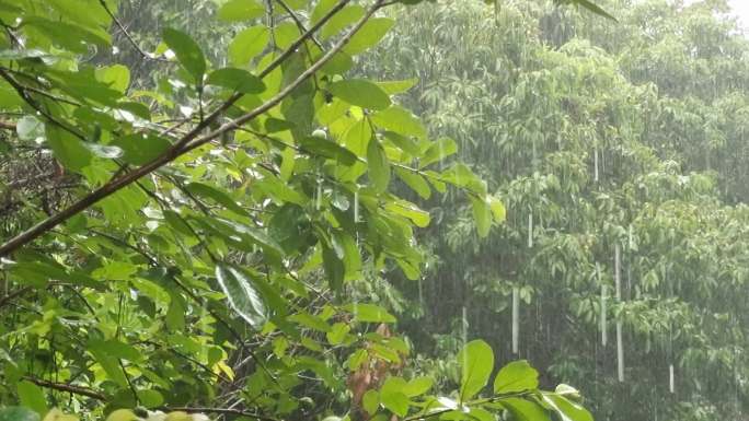 农村下雨乡间雨景台风暴雨水淹农田水漫洪水