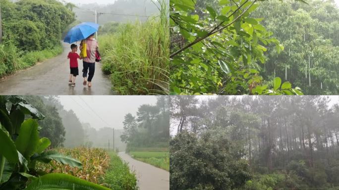 农村下雨乡间雨景台风暴雨水淹农田水漫洪水