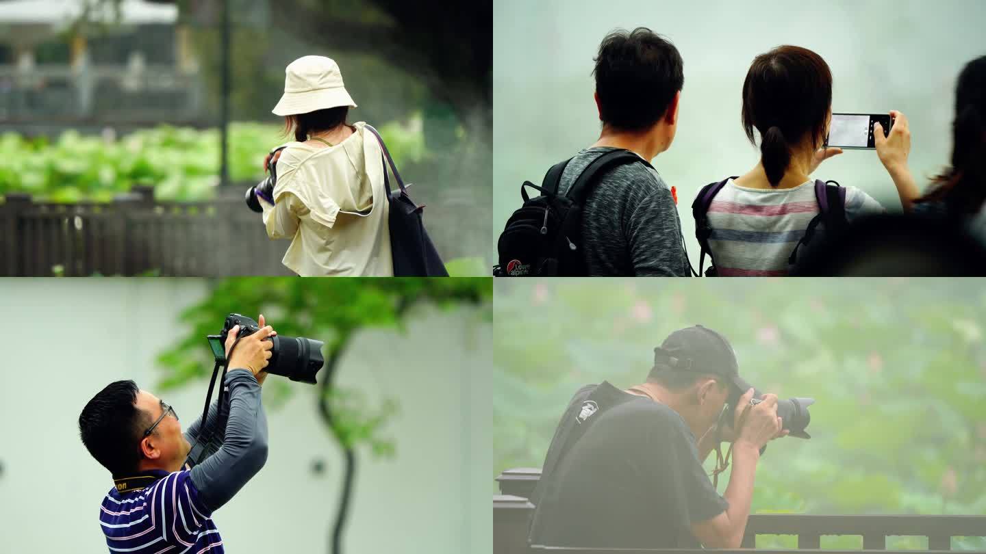 全民摄影手机摄影单反摄影微单摄影荷塘游客