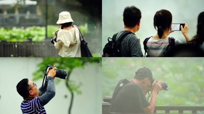 全民摄影手机摄影单反摄影微单摄影荷塘游客