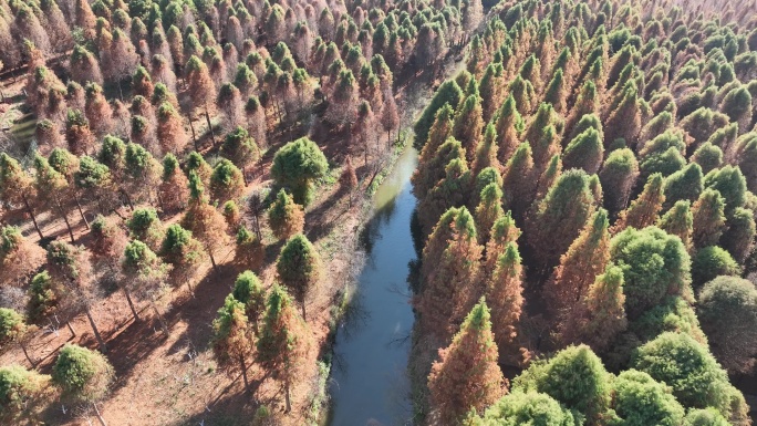 4K昆明捞鱼河湿地公园滇池树林航拍