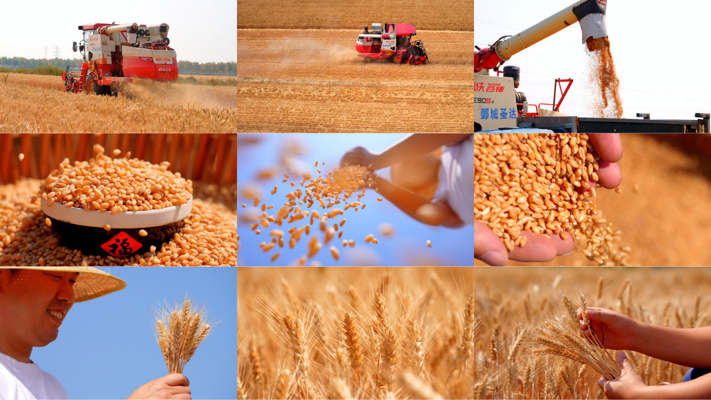 小麦丰收收割机农民芒种乡村振兴现代农业