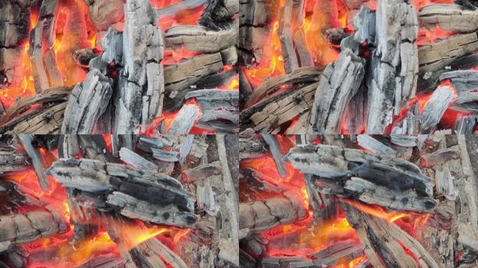 碳 炭火 木炭 烤火 火热量燃烧火焰厨房