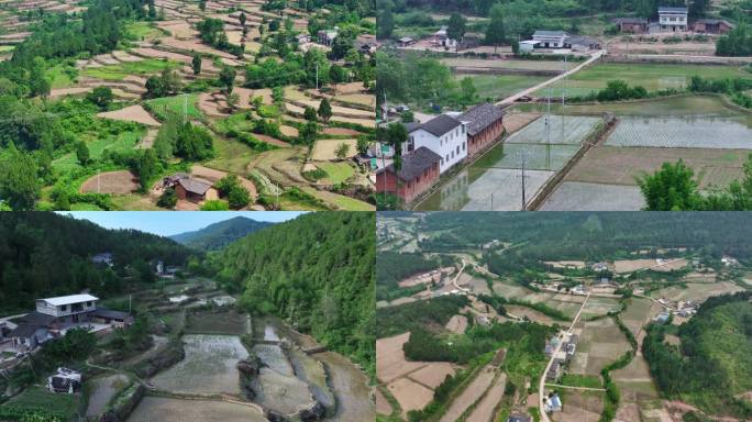 【5k】南方农村水稻田乡村稻田5k航拍