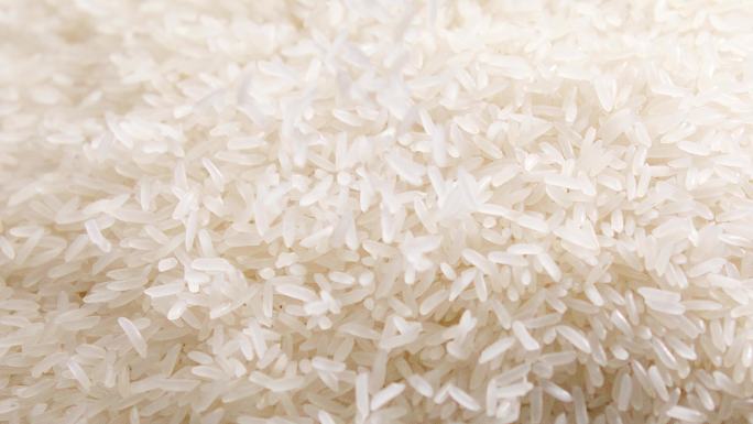 水稻大米稻谷丰收米饭粮食