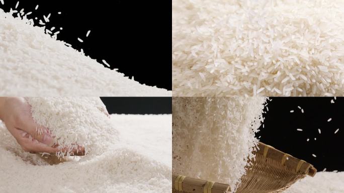 水稻大米稻谷丰收米饭粮食