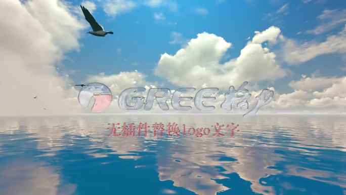 4K水珠logo大海海鸟展示