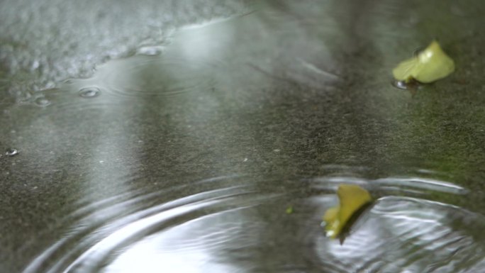 地面雨滴