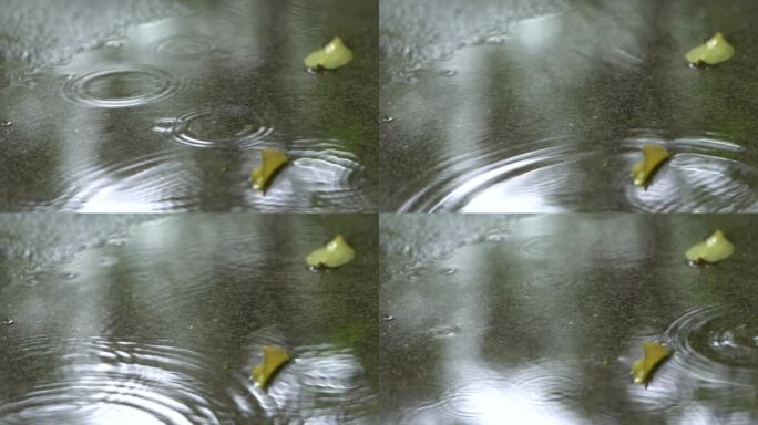 地面雨滴