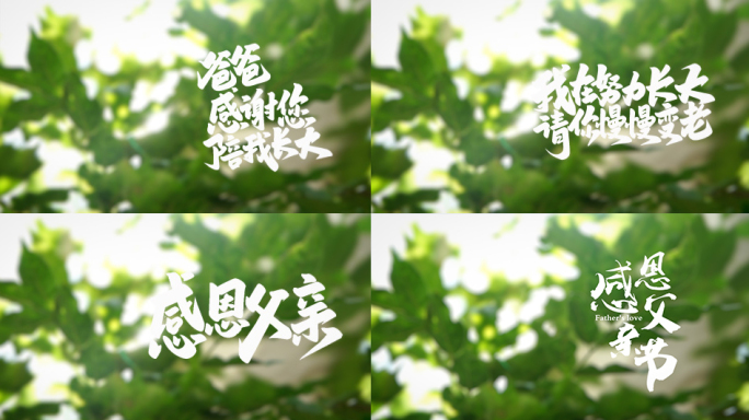 原创父亲节温情片头