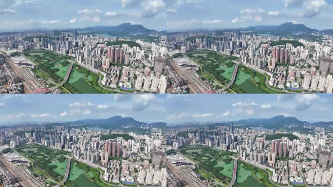 航拍4k深圳洪湖公园荷花