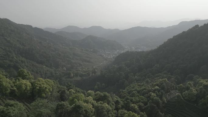 杭州十里锒铛茶山