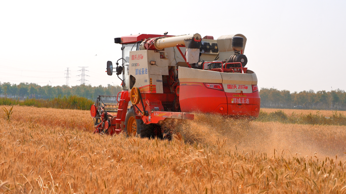 小麦丰收收割机农业现代化粮食丰收芒种